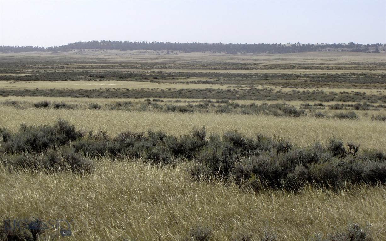 tbd Lindstrom Road - Photo 1