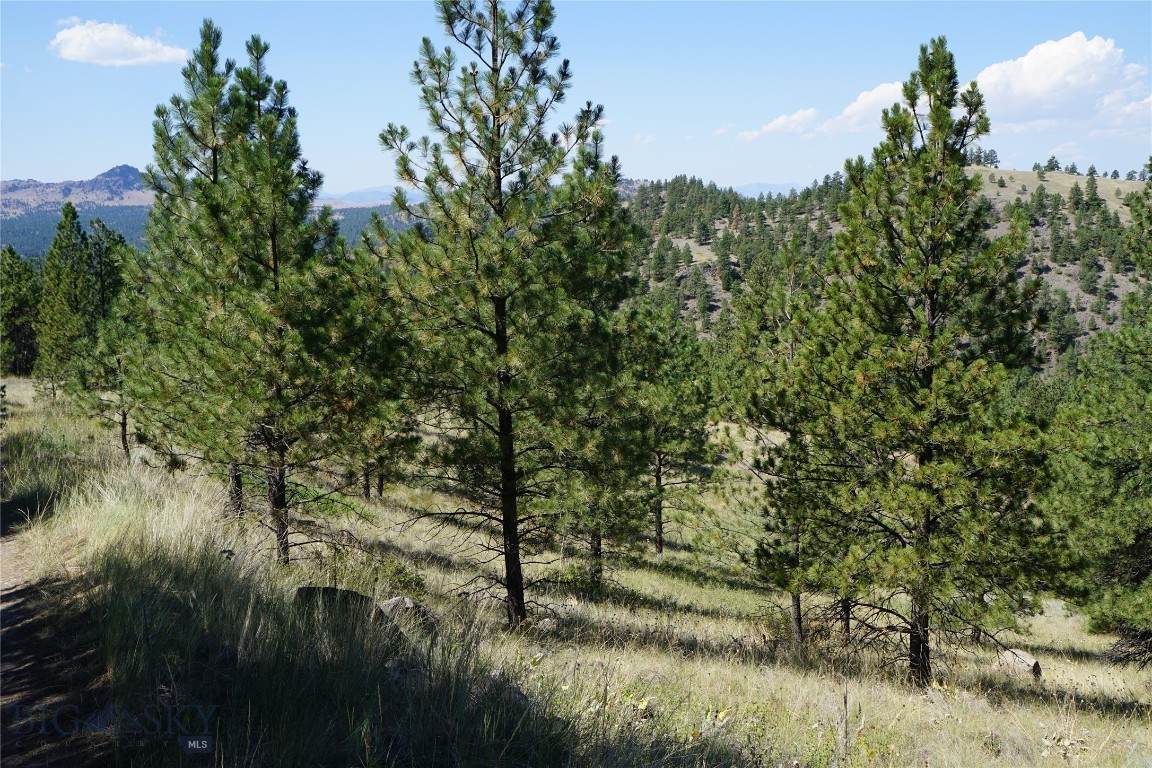 TBD Ridge Crest Lane - Photo 1