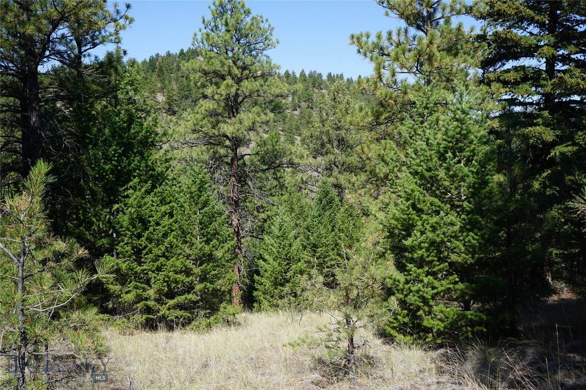 https://bt-photos.global.ssl.fastly.net/montana/orig_boomver_1_405430-2.jpg