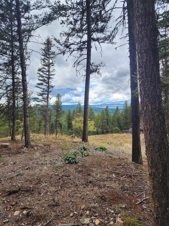 408 Montana View Drive - Photo 1