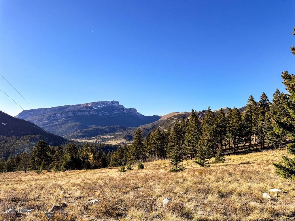 https://bt-photos.global.ssl.fastly.net/montana/orig_boomver_1_406658-2.jpg