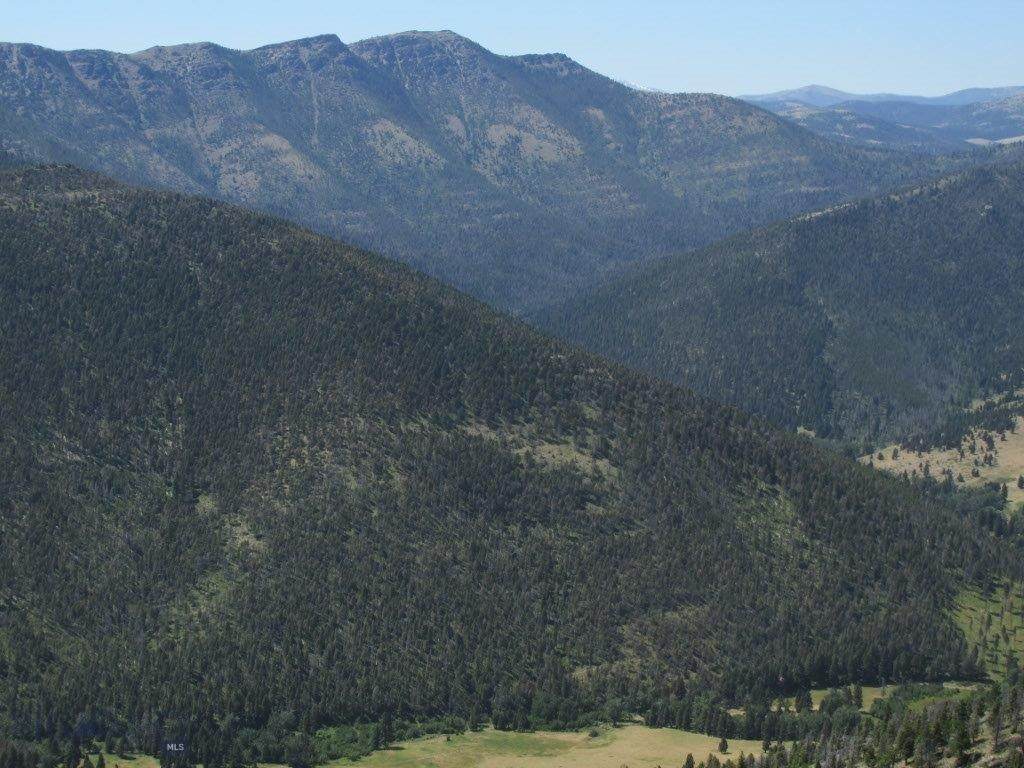 TBD Bear Track Road - Photo 1