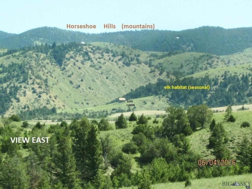 416 (Lot 285) Pine Top Trail - Photo 1