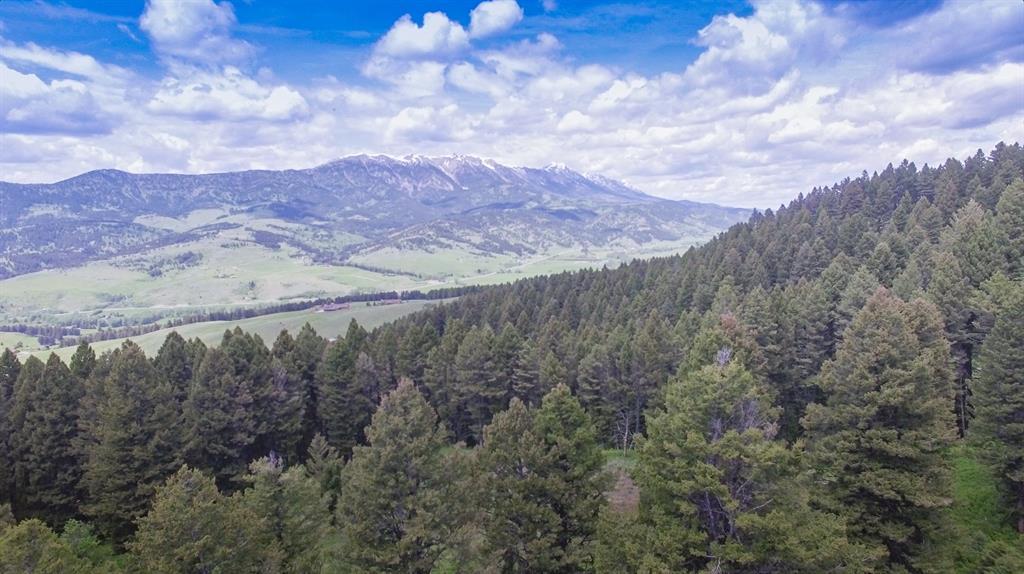 TD Bridger Woods - Photo 1