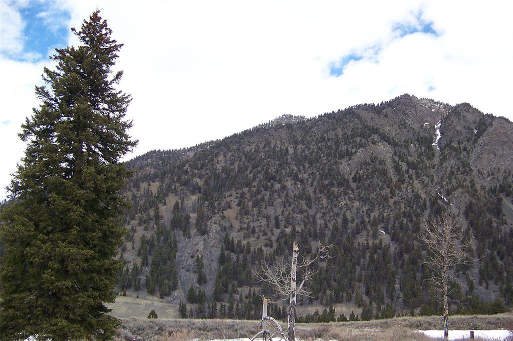 Lot 40B Sportsman's Paradise - Photo 1