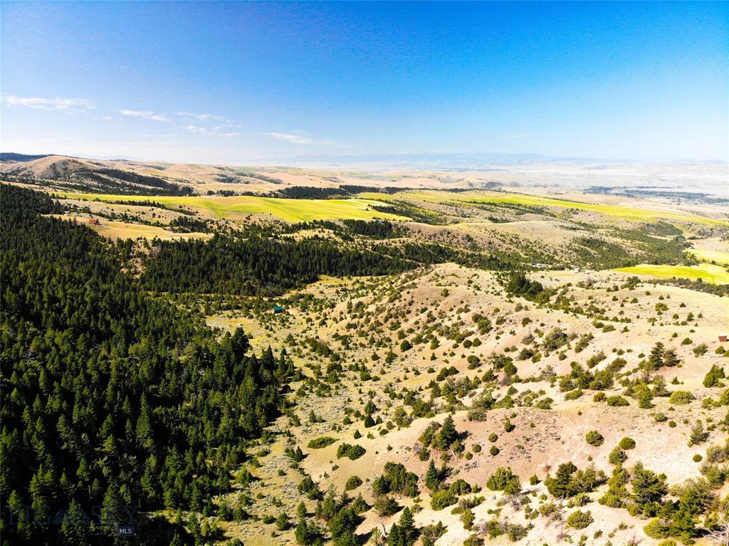 Lot 276 Lone Wolf - Photo 1