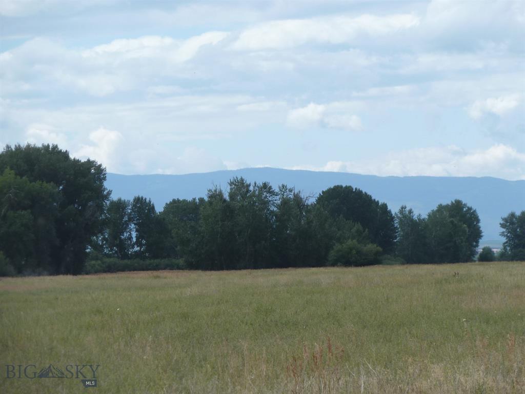 1500 Cameron Bridge Road - Photo 1