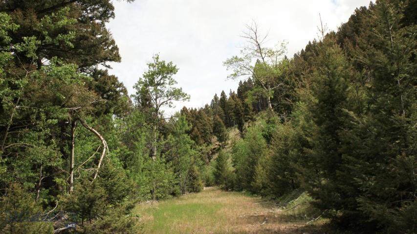0 High Ore (Florence Lode) Road - Photo 1