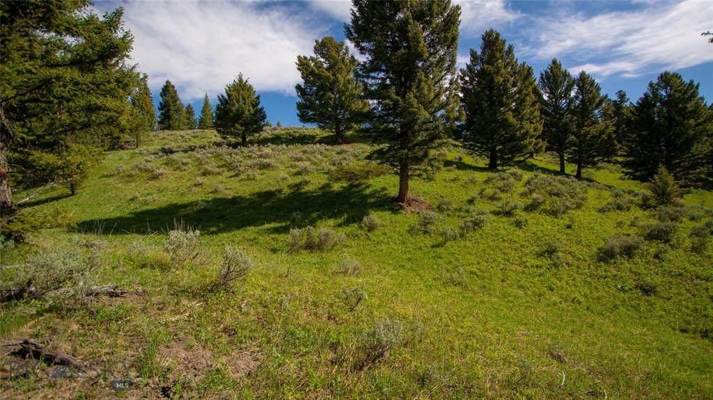 TBD Appaloosa/Pessl Road - Photo 1