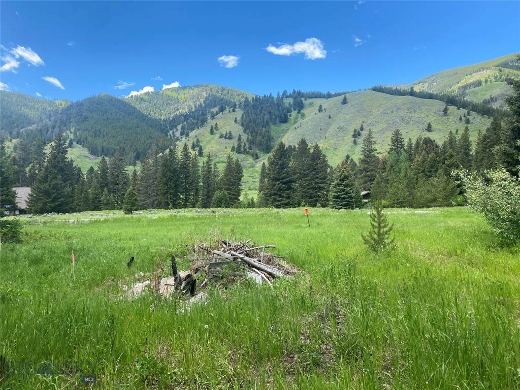 54158 Gallatin Road - Photo 1