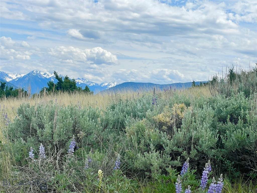 https://bt-photos.global.ssl.fastly.net/montana/orig_boomver_2_400886-2.jpg