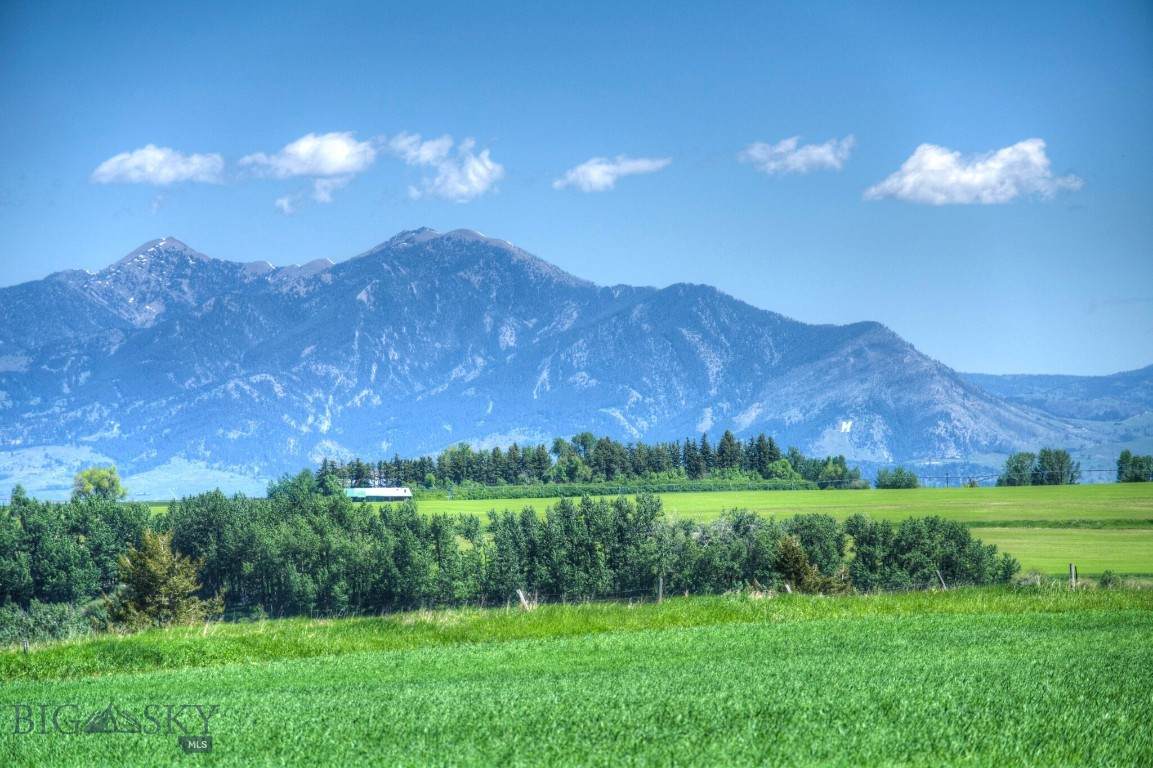 https://bt-photos.global.ssl.fastly.net/montana/orig_boomver_2_402007-2.jpg