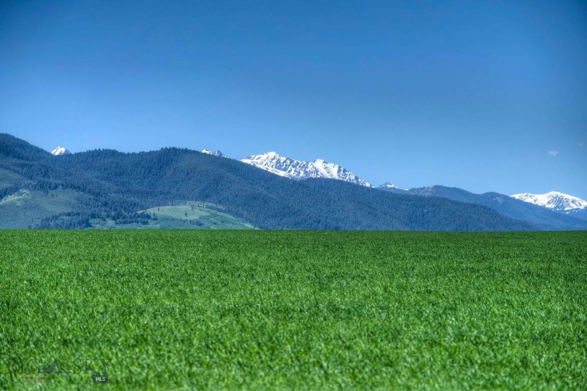 https://bt-photos.global.ssl.fastly.net/montana/orig_boomver_2_402007-2.jpg