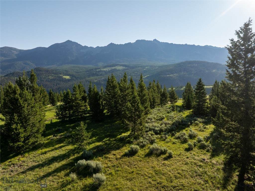 https://bt-photos.global.ssl.fastly.net/montana/orig_boomver_2_405192-2.jpg