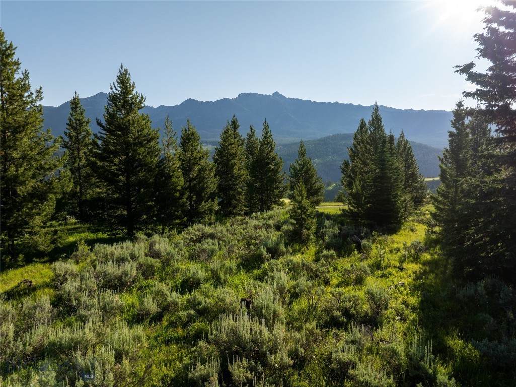 https://bt-photos.global.ssl.fastly.net/montana/orig_boomver_2_405192-2.jpg