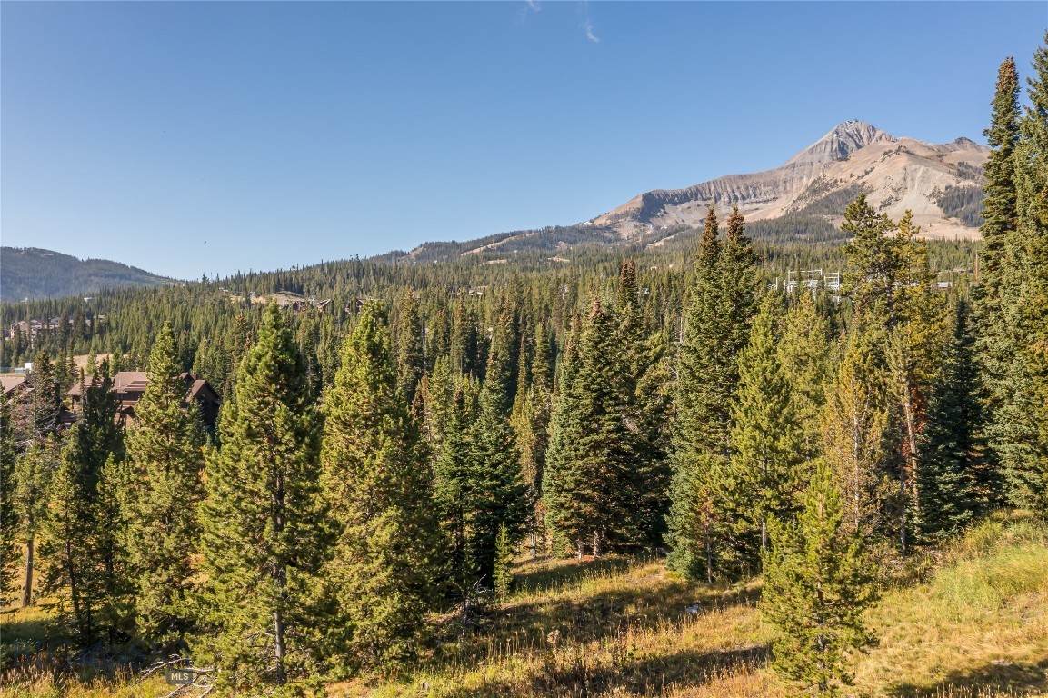 https://bt-photos.global.ssl.fastly.net/montana/orig_boomver_2_405909-2.jpg