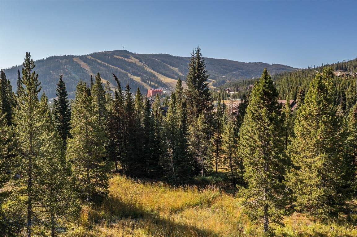 https://bt-photos.global.ssl.fastly.net/montana/orig_boomver_2_405909-2.jpg
