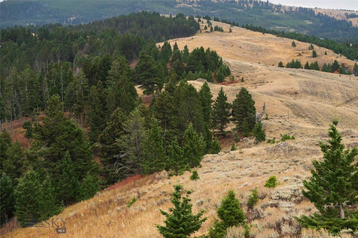 20 ac Alpine Springs Trail - Photo 1