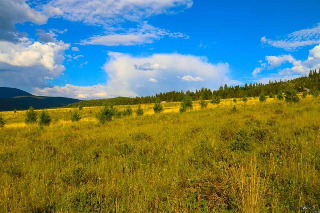 Lot 15 Meadowview Lane - Photo 1