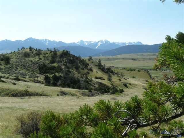 56 Redtail Road - Photo 1