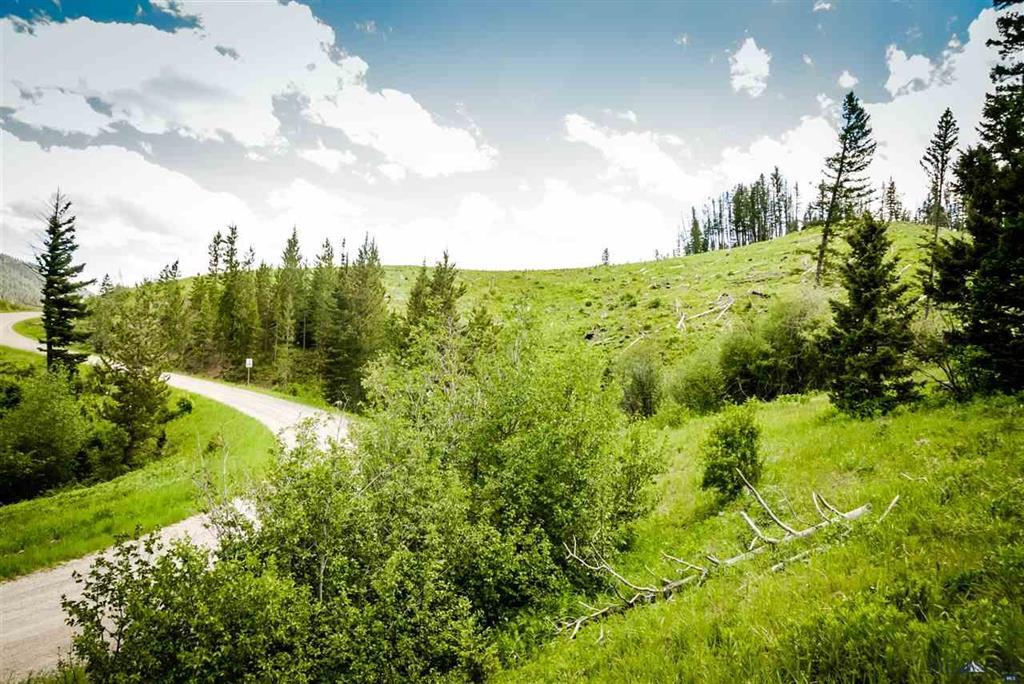 Tract 5 Tiaga Trail - Photo 1