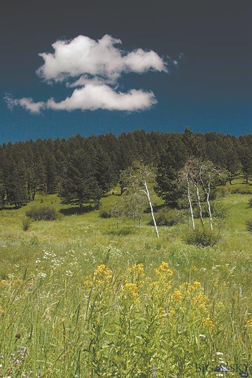 Lot 24 Timbercrest Estates - Photo 1