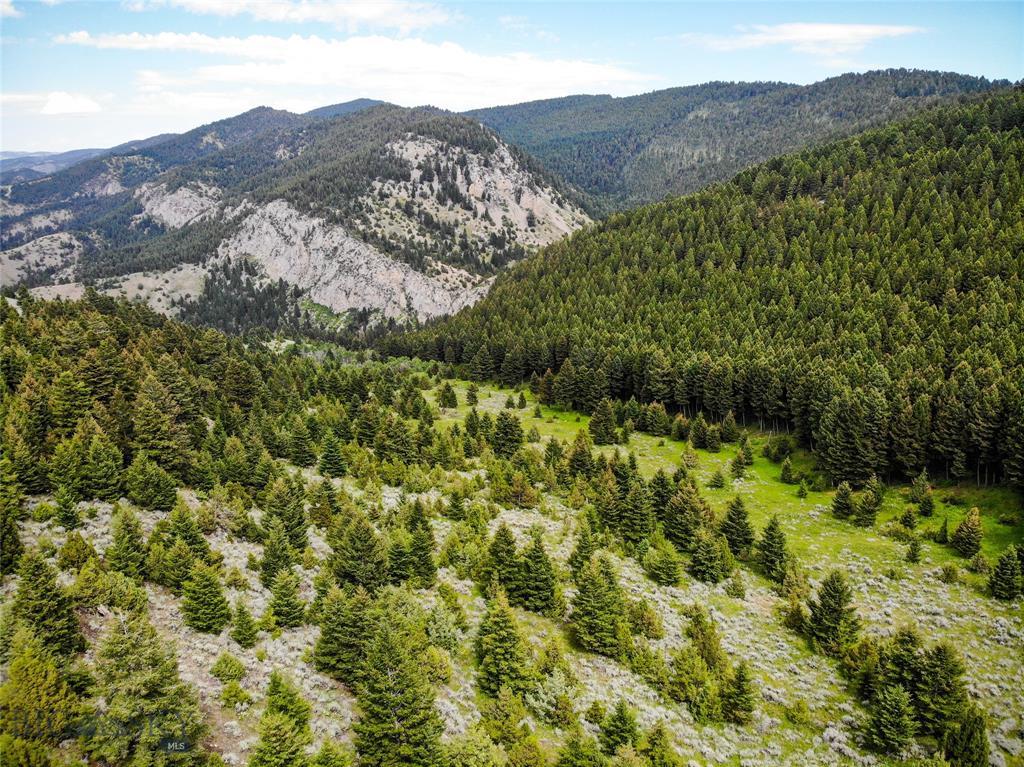 Lot 354 Pole Gulch - Photo 1