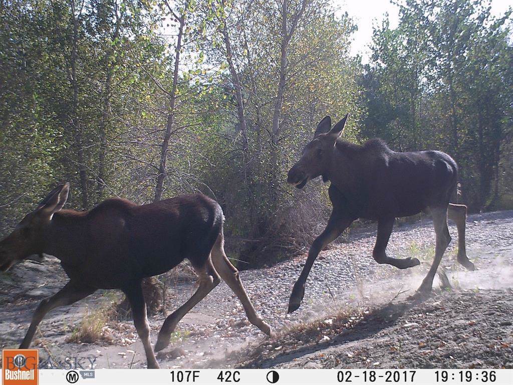 142 Old Mill Road - Photo 1