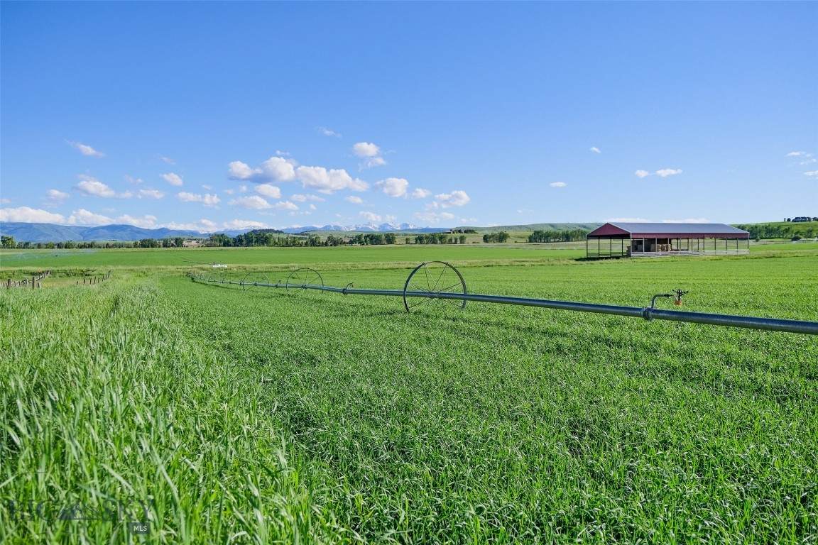 TBD Ward Road - Photo 1