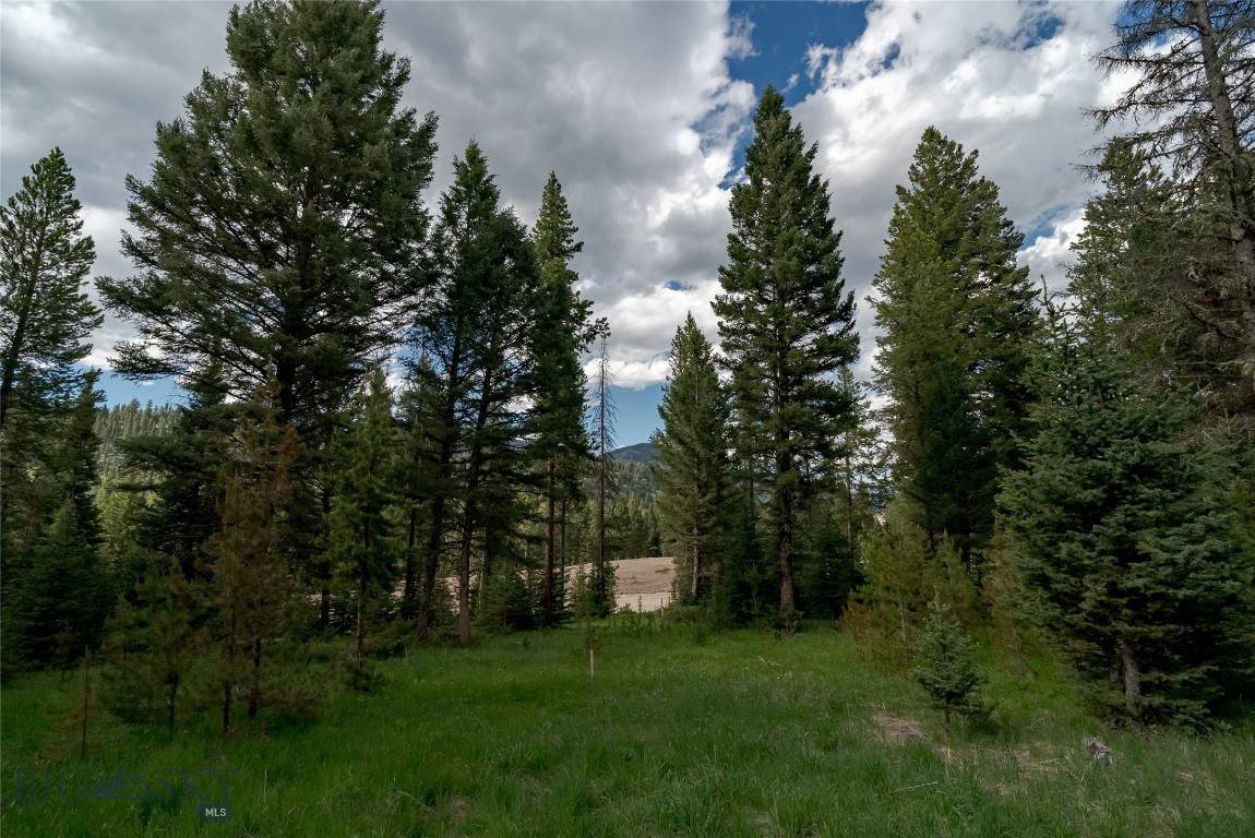 https://bt-photos.global.ssl.fastly.net/montana/orig_boomver_3_393503-2.jpg