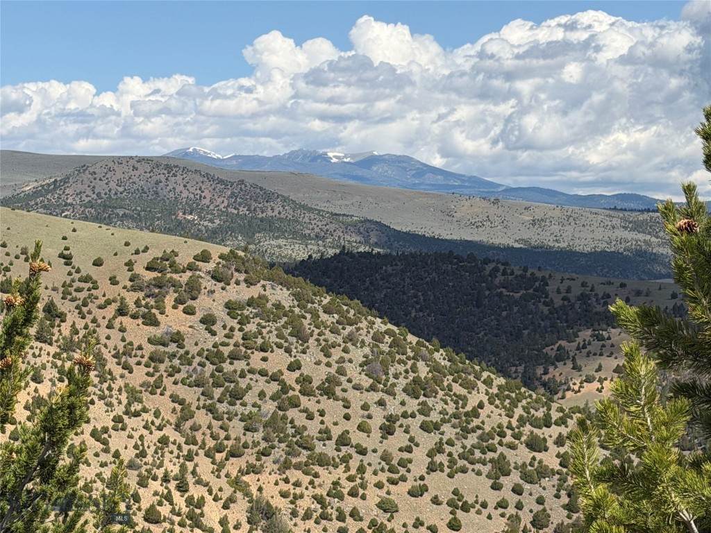 https://bt-photos.global.ssl.fastly.net/montana/orig_boomver_2_405978-2.jpg
