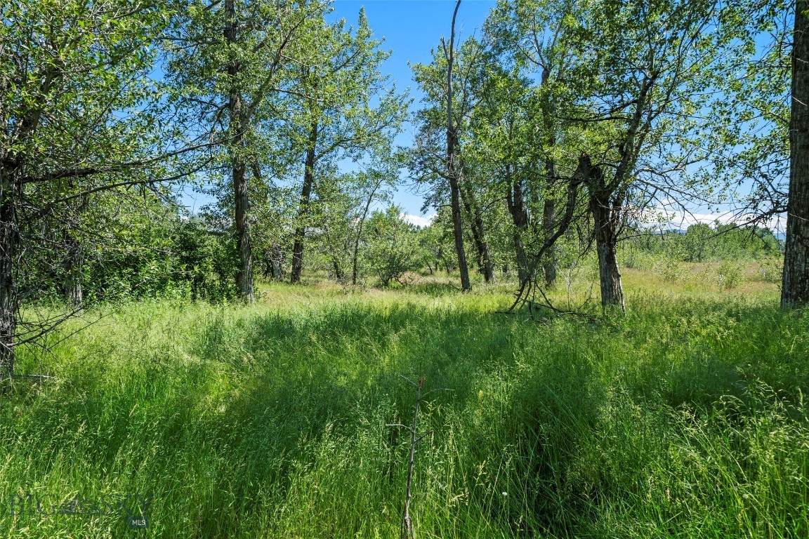 TBD Big Horn Lane - Photo 1