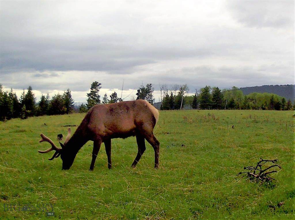 0 Smith River Rd - Photo 1
