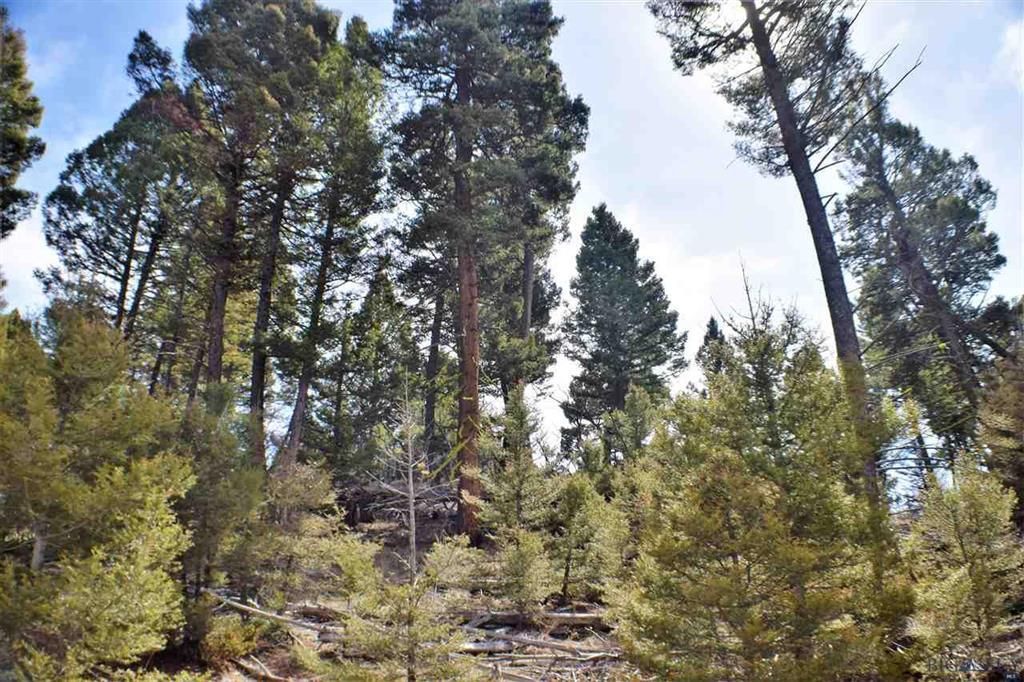 LOT 127 Aspen Valley Ranch Sub - Photo 1