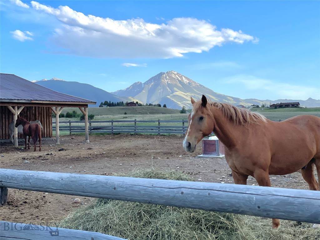 56 Yellowstone Trail - Photo 1