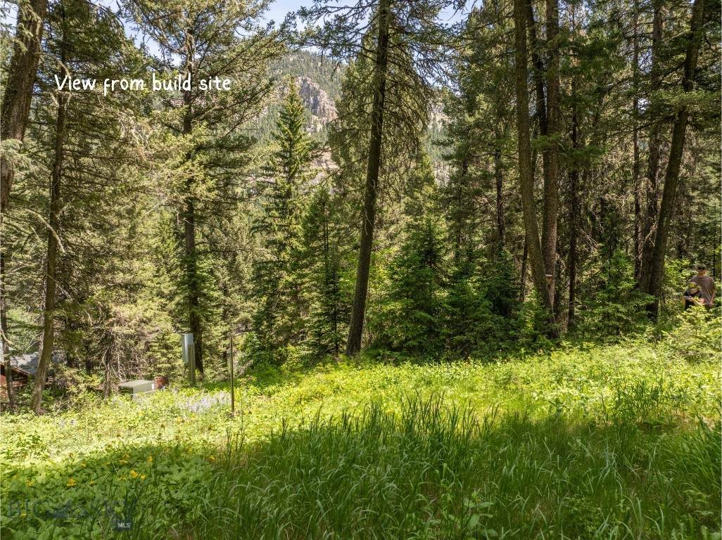 https://bt-photos.global.ssl.fastly.net/montana/orig_boomver_5_398909-2.jpg