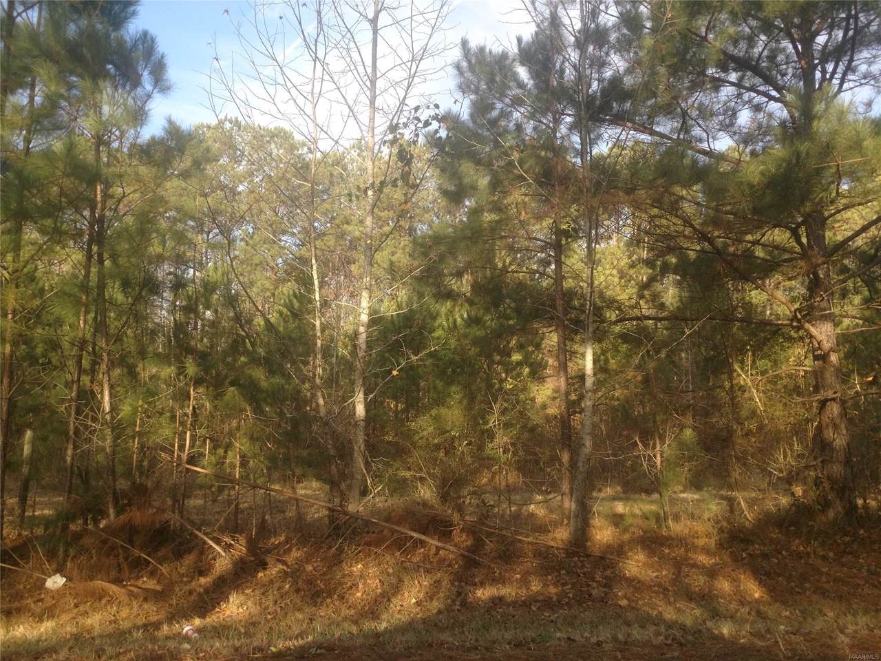 0 Rocky Branch Road - Photo 1