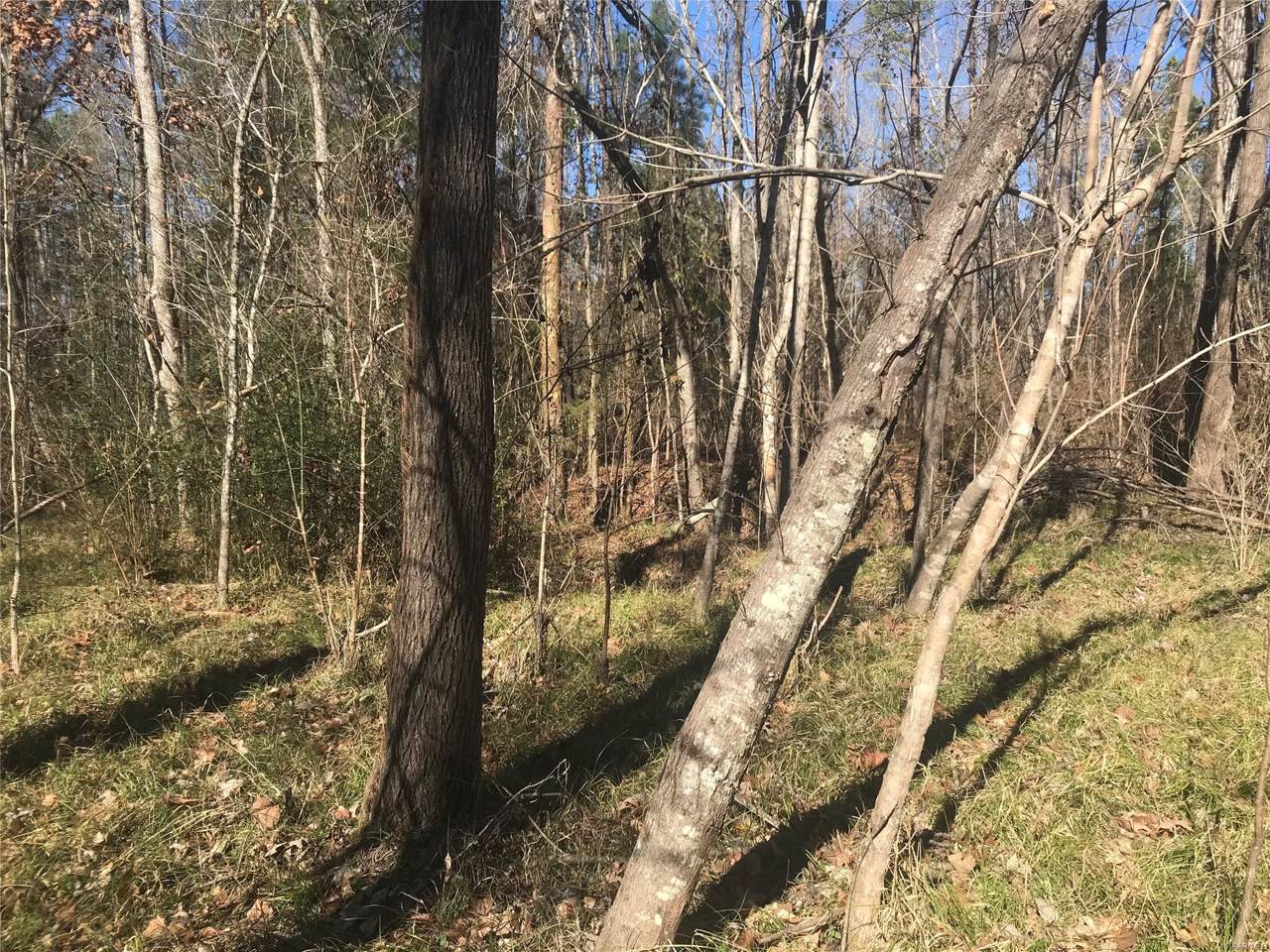 0 Hickory Grove Road - Photo 1