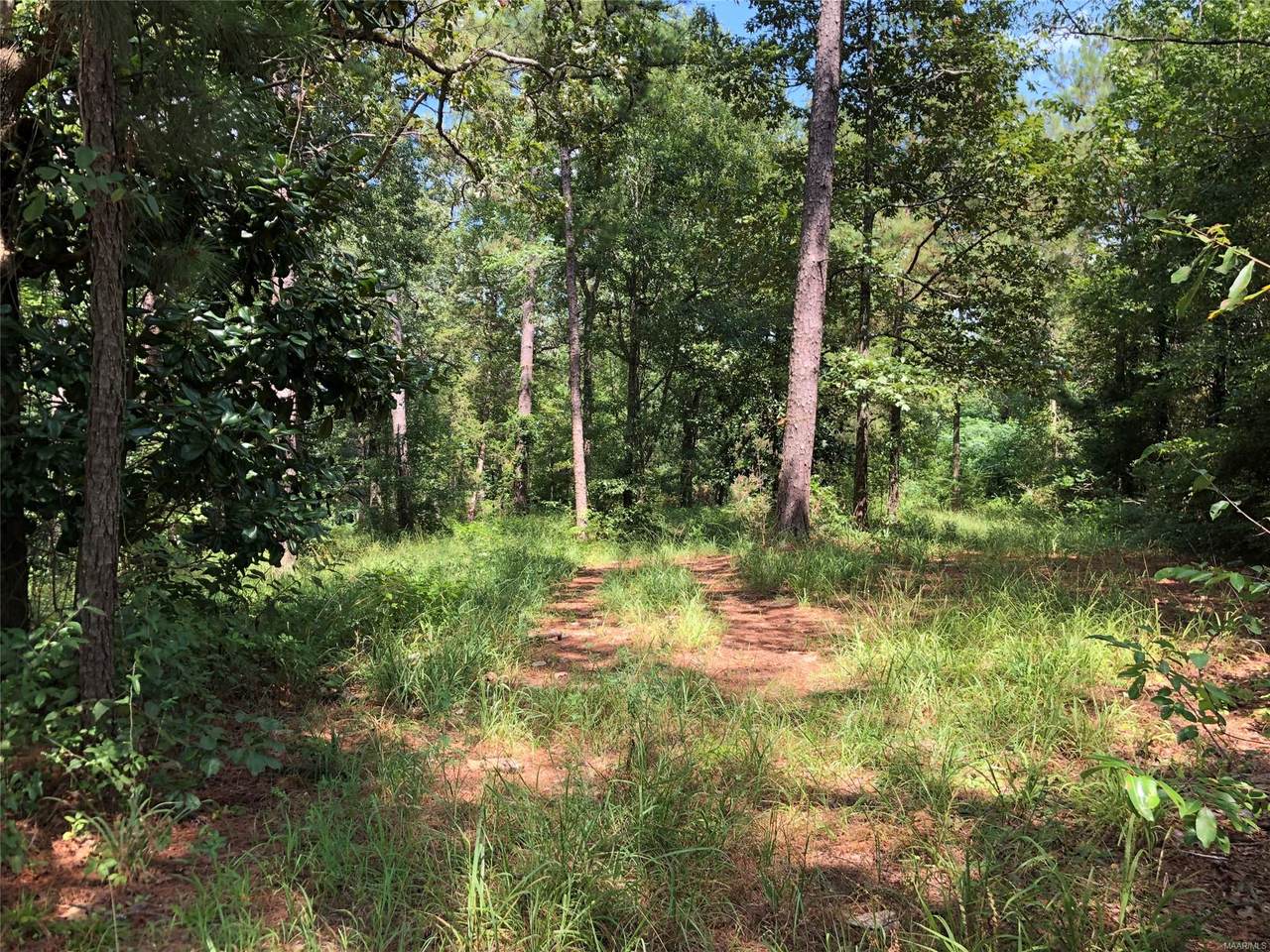 815 Allen Road - Photo 1