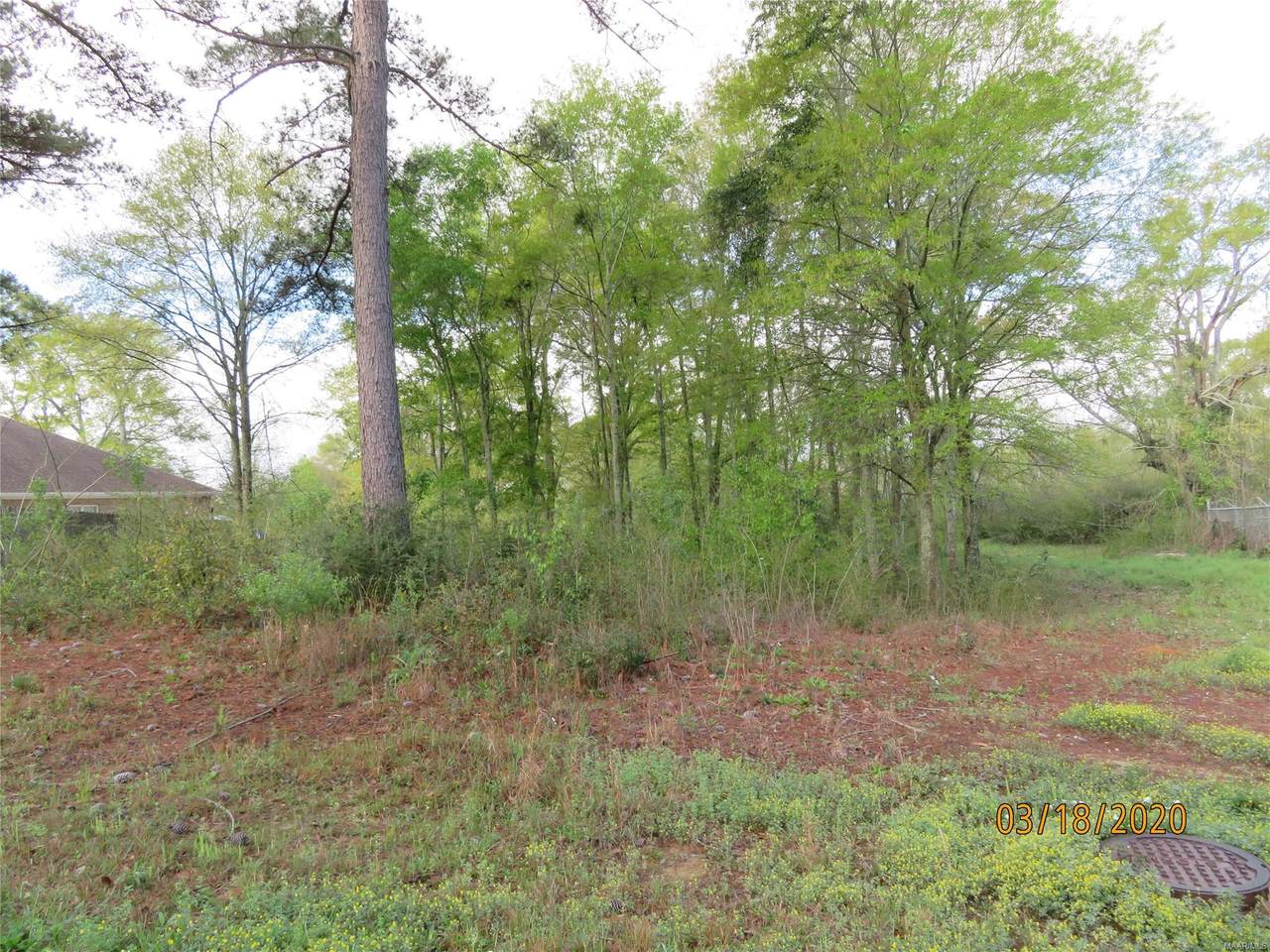 112 Bellwood Trail - Photo 1