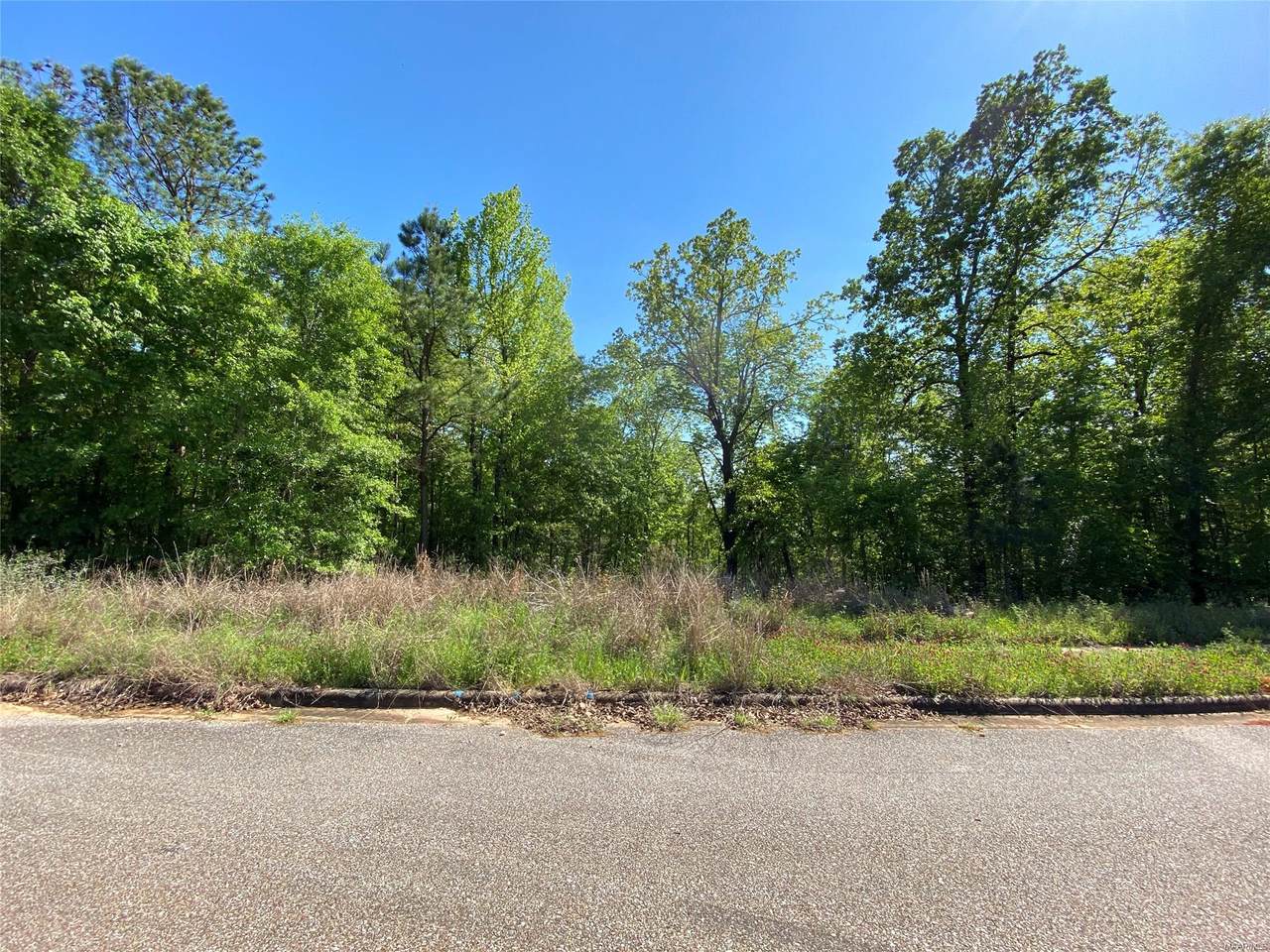 0 Golson Boulevard - Photo 1