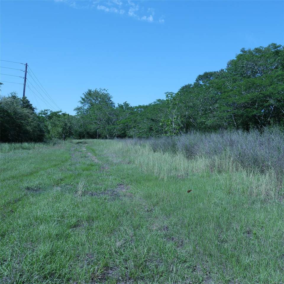 848 County Road 618 Road - Photo 1 848 County Road 618 Road - Photo 1