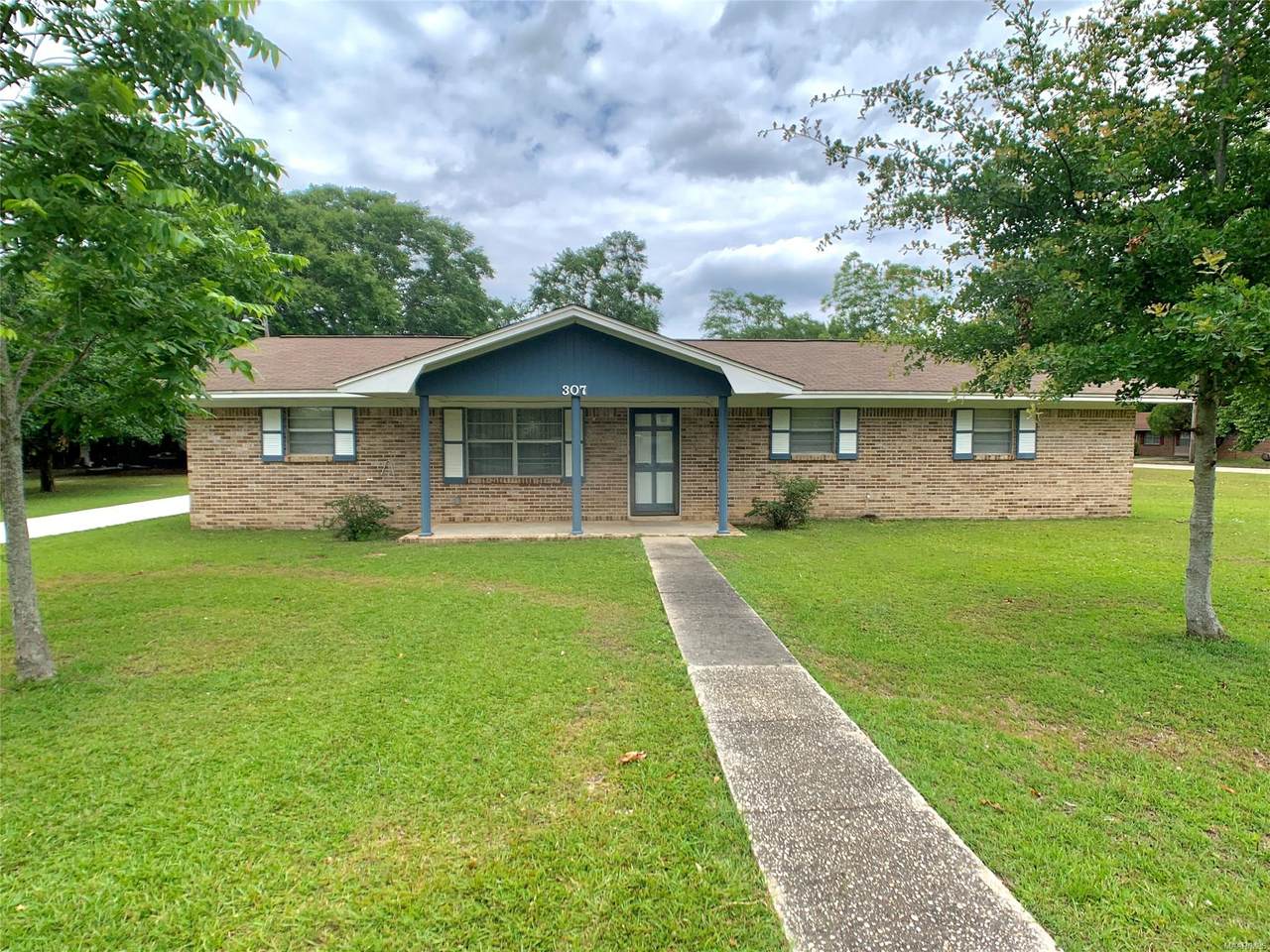 307 Frances Drive - Photo 1