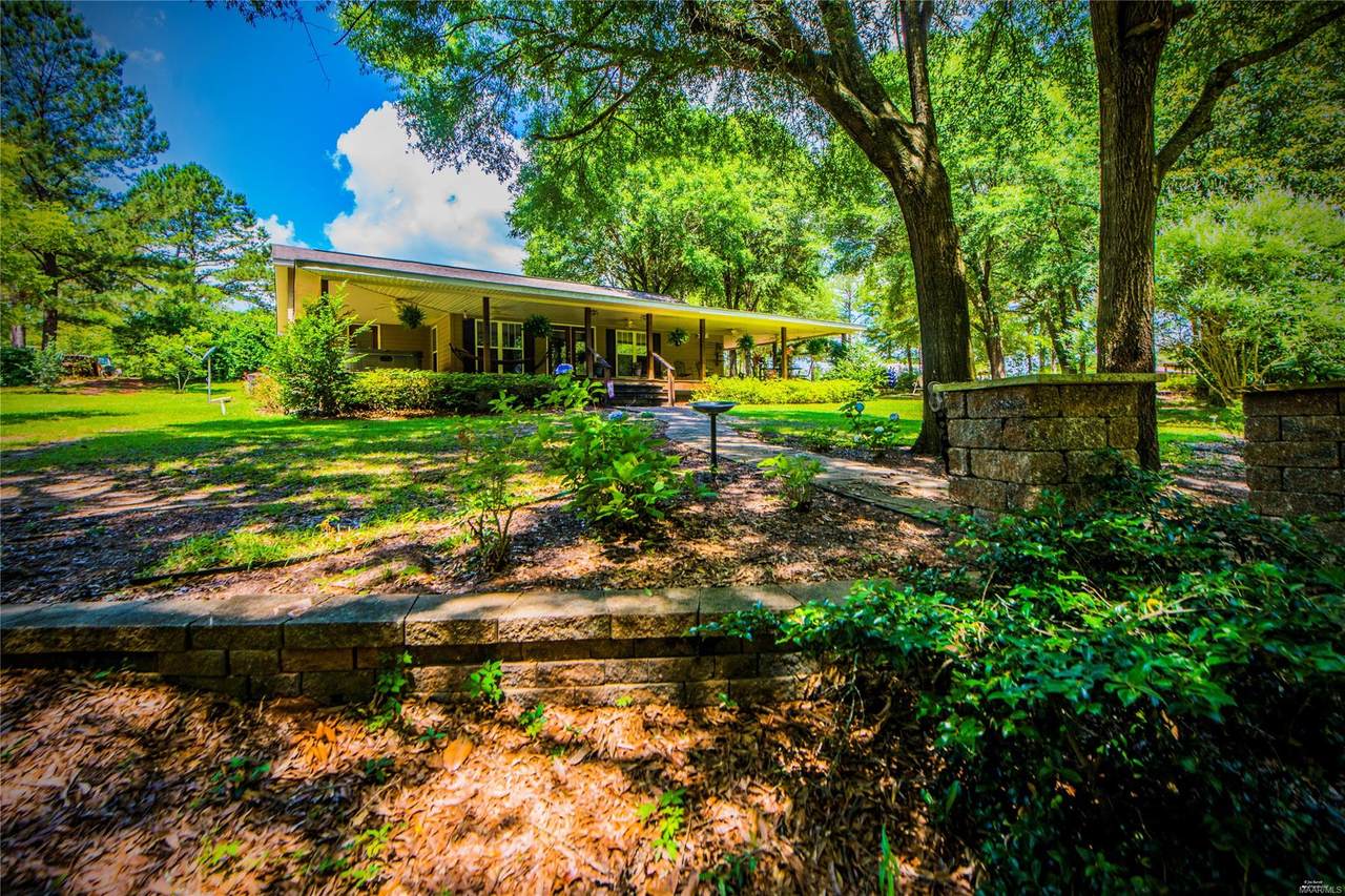 10135 County Road 59 Road - Photo 1