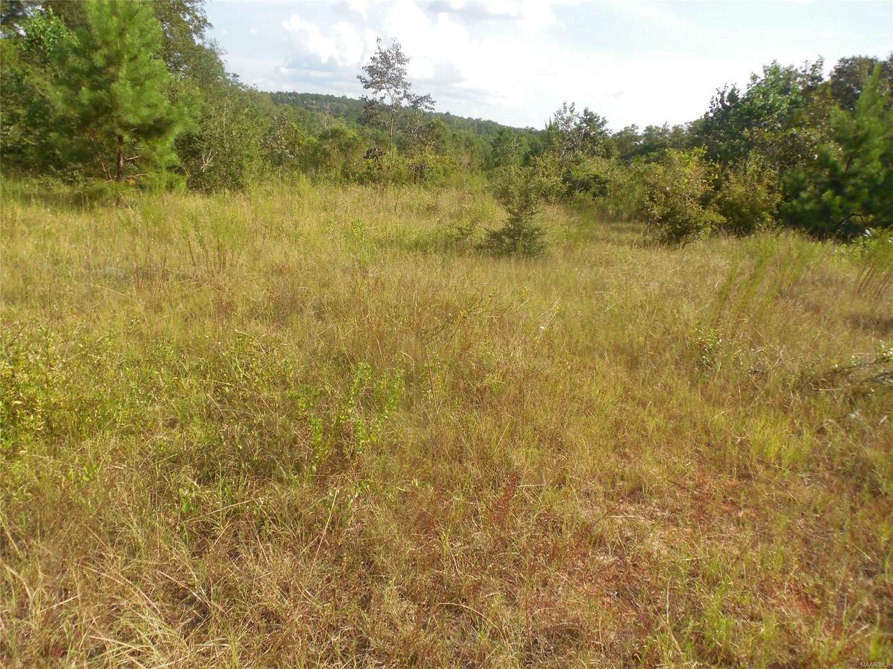 9.8 acres Whittle Hudson Road - Photo 1