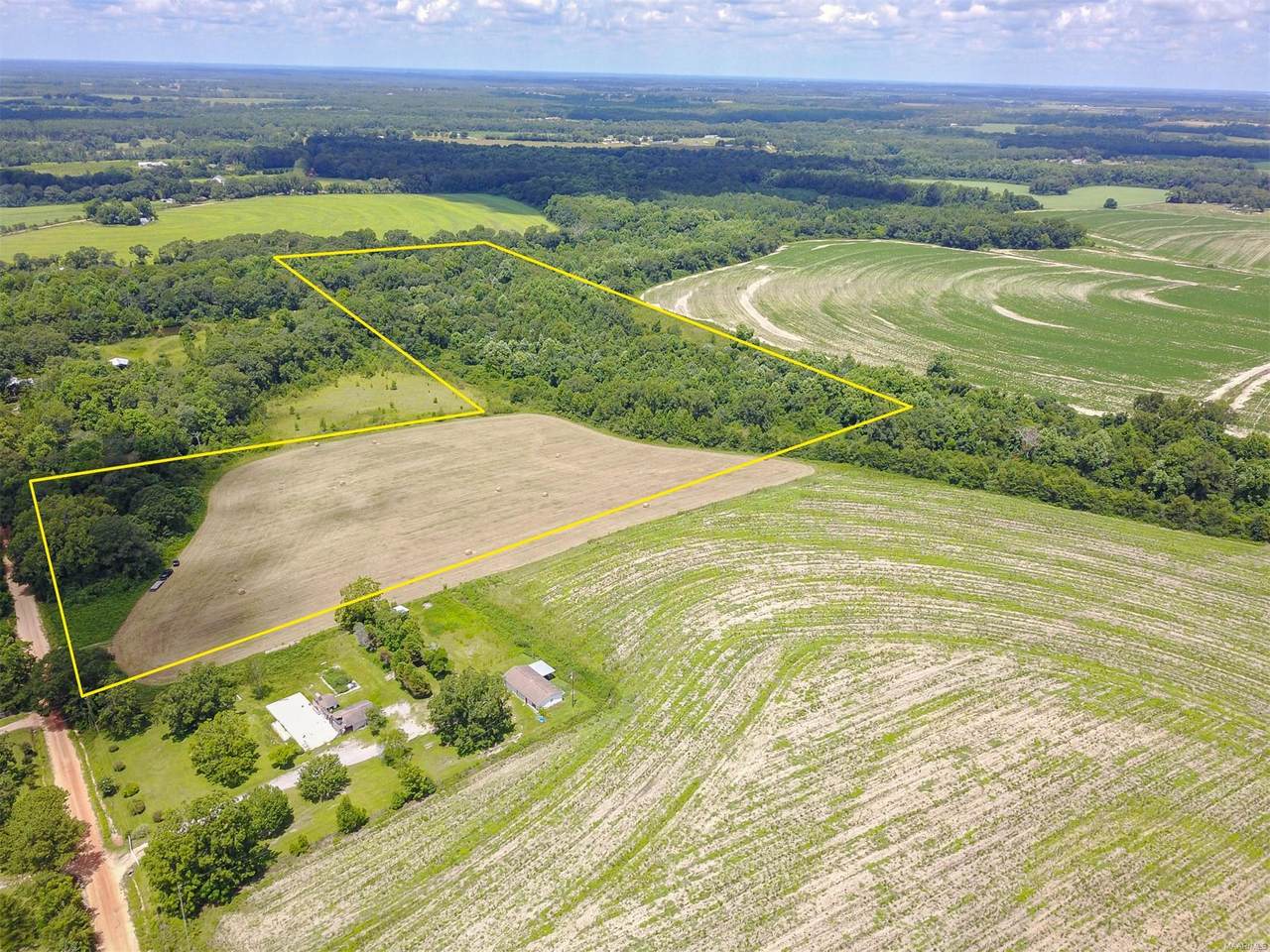 32 Acres Scott Road - Photo 1