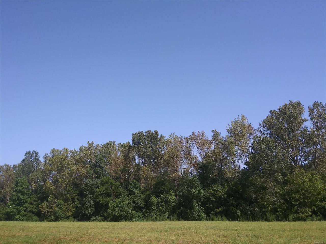 01 Dozier Road - Photo 1