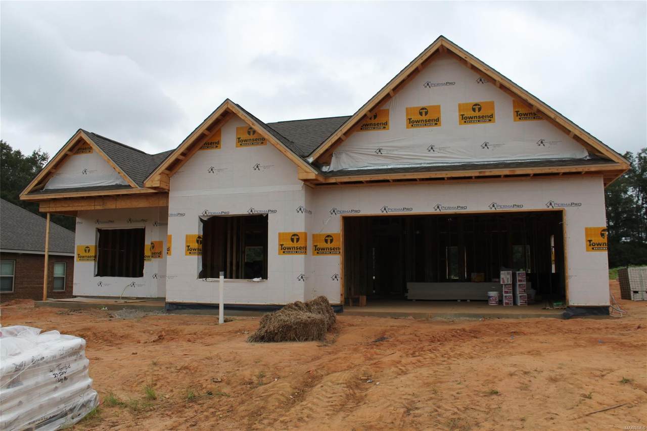 411 Thornbird Loop - Photo 1