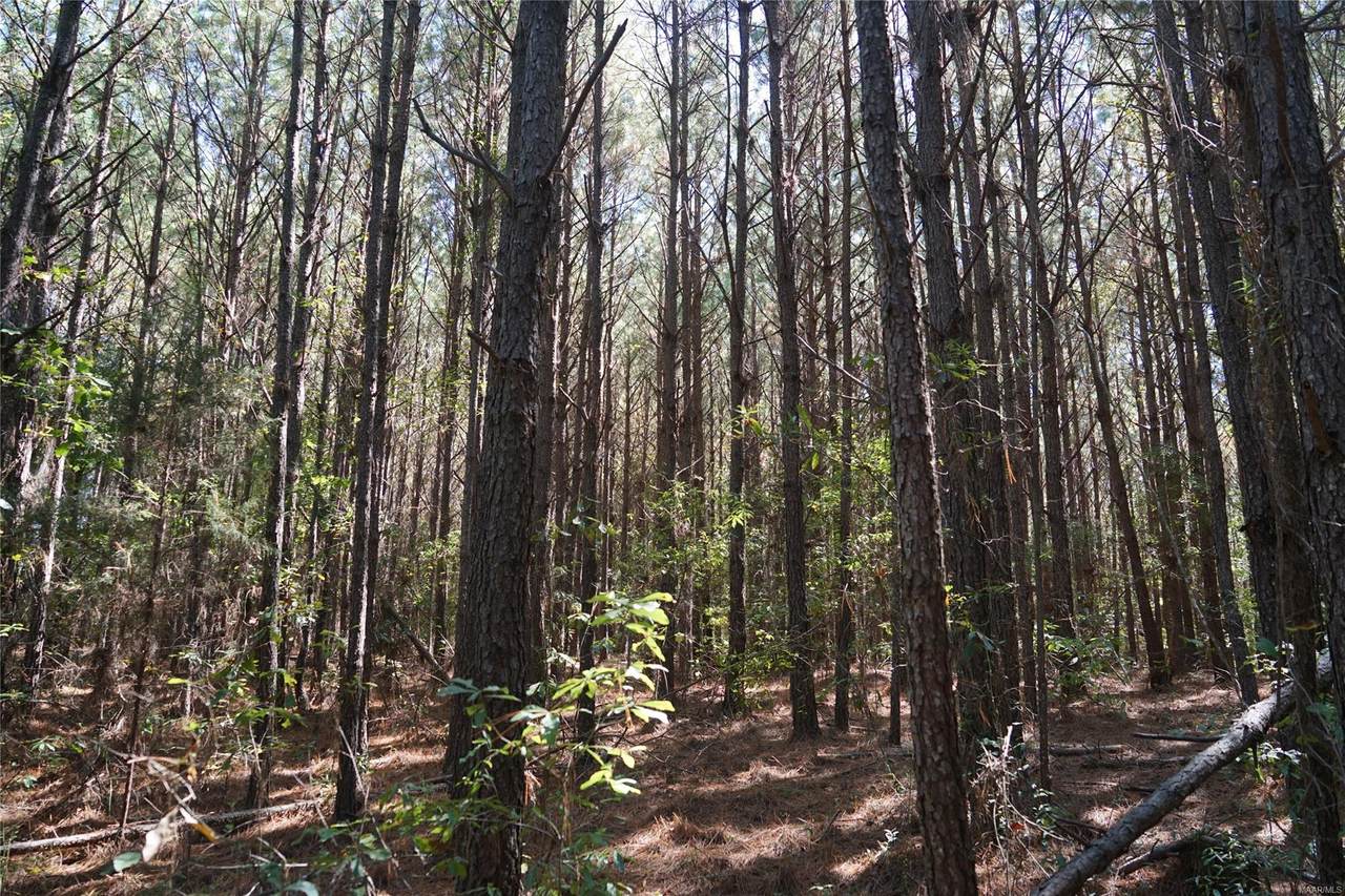 17 County Road 17 Circle - Photo 1