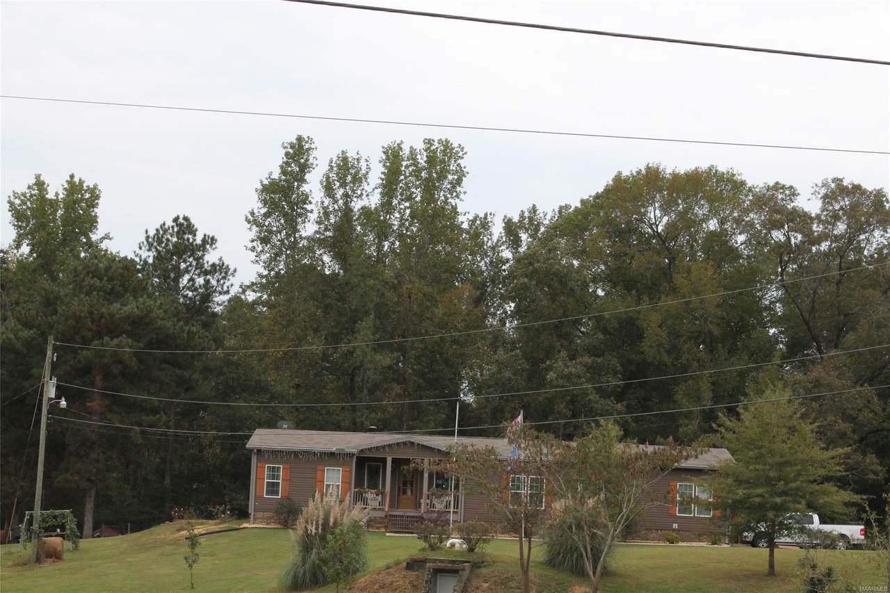 555 County Road 46 Road - Photo 1